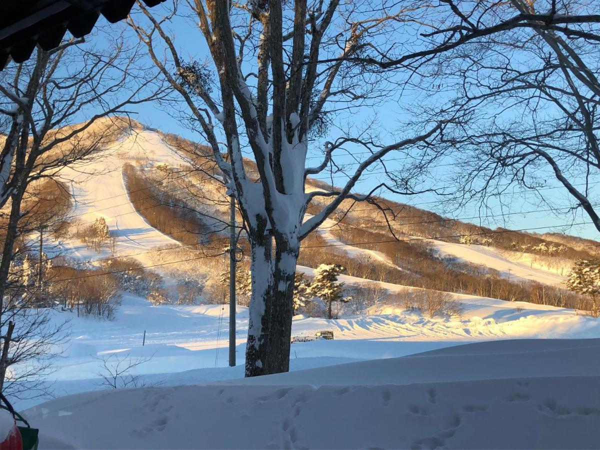 Вилла Alp Bach Madarao Iiyama Экстерьер фото