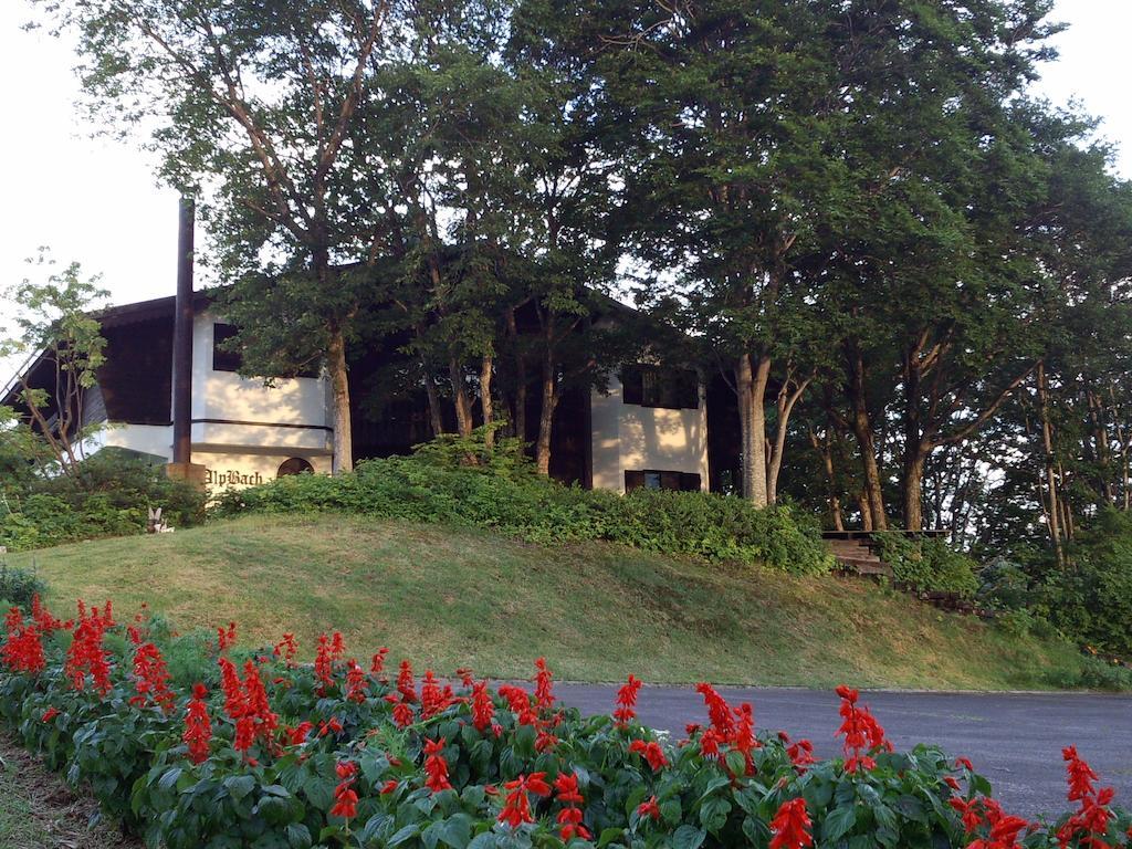 Вилла Alp Bach Madarao Iiyama Экстерьер фото
